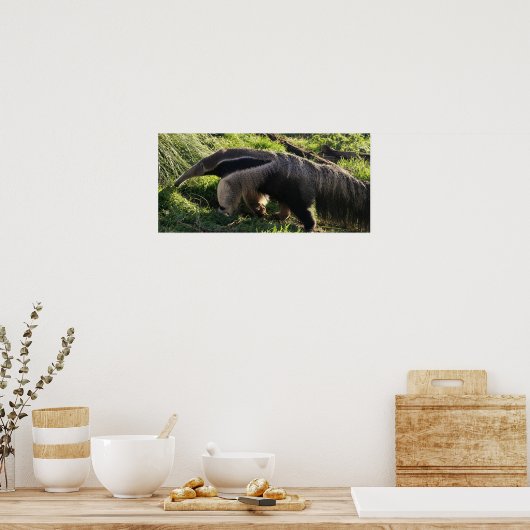 Giant Anteater Poster Print (Küche)