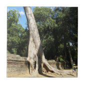 Giant Banyan Tree ... Ta Prohm Temple, Kambodscha Fliese (Vorderseite)