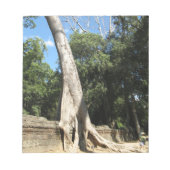 Giant Banyan Tree ... Ta Prohm Temple, Kambodscha Notizblock (Vorderseite)