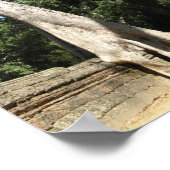 Giant Banyan Tree ... Ta Prohm Temple, Kambodscha Poster (Ecke)