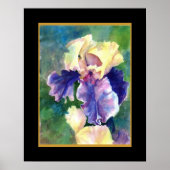 Giant Bearded Iris Poster (Vorne)