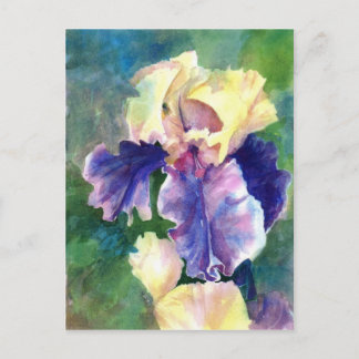 Giant Bearded Iris Postkarte