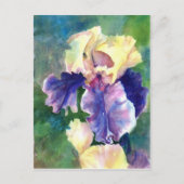 Giant Bearded Iris Postkarte (Vorderseite)