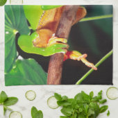 Giant Bicolor Monkey Treefrog, Phyllomedusa Geschirrtuch (Gefaltet)