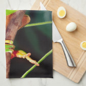 Giant Bicolor Monkey Treefrog, Phyllomedusa Geschirrtuch (Viertel Falte)