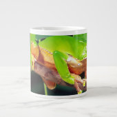 Giant Bicolor Monkey Treefrog, Phyllomedusa Jumbo-Tasse (Vorderseite)