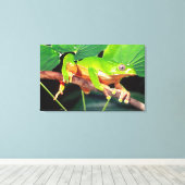 Giant Bicolor Monkey Treefrog, Phyllomedusa Leinwanddruck (Insitu (Holzboden))
