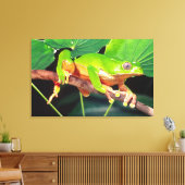 Giant Bicolor Monkey Treefrog, Phyllomedusa Leinwanddruck (Insitu (Wohnzimmer))