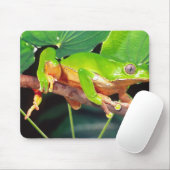 Giant Bicolor Monkey Treefrog, Phyllomedusa Mousepad (Mit Mouse)