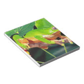 Giant Bicolor Monkey Treefrog, Phyllomedusa Notizblock (angewinkelt)
