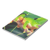 Giant Bicolor Monkey Treefrog, Phyllomedusa Notizblock (Rotiert)