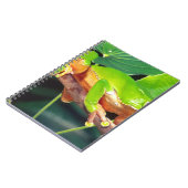 Giant Bicolor Monkey Treefrog, Phyllomedusa Notizblock (Linke Seite)