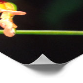 Giant Bicolor Monkey Treefrog, Phyllomedusa Poster (Ecke)