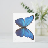 Giant Blue Morpho Butterfly Postkarte (Stehend Vorderseite)