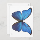 Giant Blue Morpho Butterfly Postkarte (Vorne/Hinten)