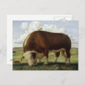 Giant Bull Postkarte (Vorne/Hinten)