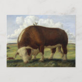 Giant Bull Postkarte (Vorderseite)