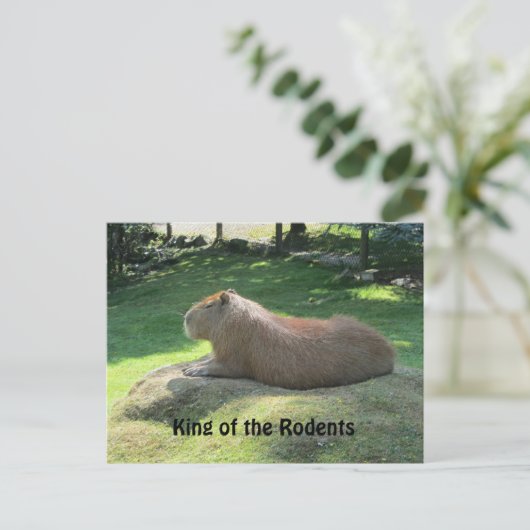 Giant Capybara Postkarte (Stehend Vorderseite)