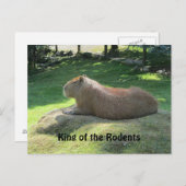 Giant Capybara Postkarte (Vorne/Hinten)