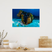 Giant Clam auf dem Poster des Großen Barrier Reef (Küche)