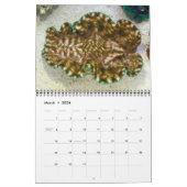 Giant Clams Wall Calendar 2 von James W. Vaterree. Kalender (Mär 2026)