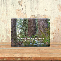 Giant Conifer Forest mit John Muir Zitat