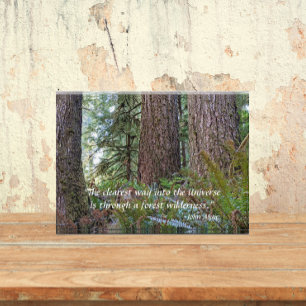 Giant Conifer Forest mit John Muir Zitat Fotoblock