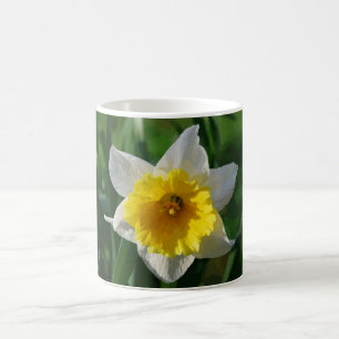 Giant Daffodil Kaffeetasse