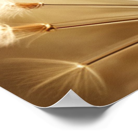 Giant Dandelion Dreams III Poster (Ecke)