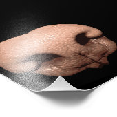 Giant Dog Nose Fotodruck (Ecke)