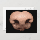 Giant Dog Nose Postkarte (Vorne/Hinten)