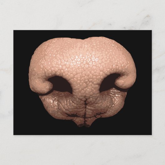Giant Dog Nose Postkarte (Vorderseite)