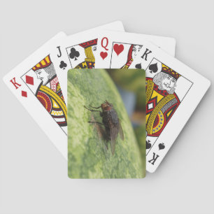 GIANT Fly Deck spielen Karten Spielkarten