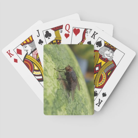 GIANT Fly Deck spielen Karten Spielkarten (Rückseite)