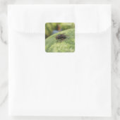 GIANT Fly Sticker Set (Tasche)