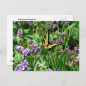 Giant Frack Butterfly auf Lila Statice Postkarte (Vorne/Hinten)