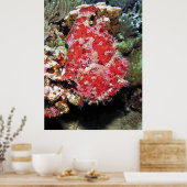 Giant Frogfish Portrait Poster (Küche)