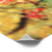 Giant Frogfish-White Poster (Ecke)