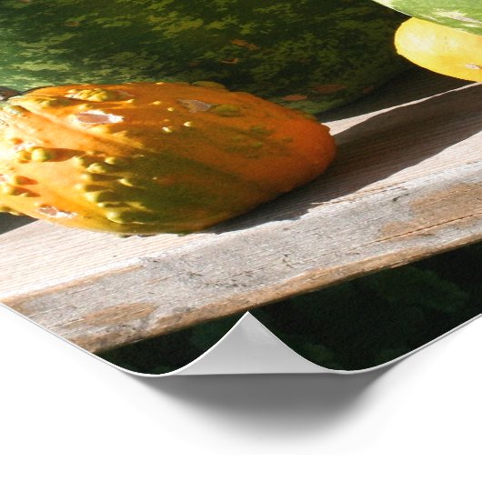 Giant Gourds Herbst Poster (Ecke)