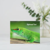 Giant Green Day Gecko Postkarte (Stehend Vorderseite)