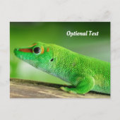 Giant Green Day Gecko Postkarte (Vorderseite)