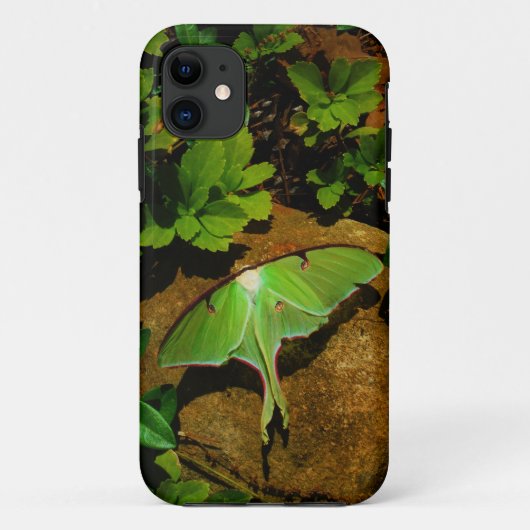 Giant Green Luna moth Case-Mate iPhone Hülle (Rückseite)