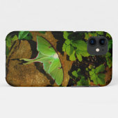 Giant Green Luna moth Case-Mate iPhone Hülle (Rückseite (Horizontal))