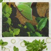 Giant Green Luna moth Geschirrtuch (Gefaltet)