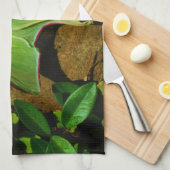 Giant Green Luna moth Geschirrtuch (Viertel Falte)