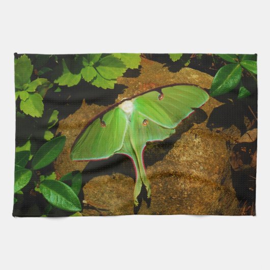 Giant Green Luna moth Geschirrtuch (Horizontal)