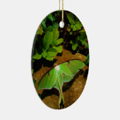Giant Green Luna moth Keramik Ornament (Rechts)