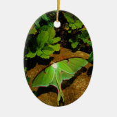 Giant Green Luna moth Keramik Ornament (Vorne)