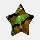 Giant Green Luna moth Keramik Ornament (Rechts)