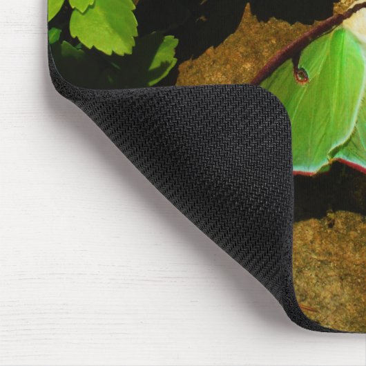 Giant Green Luna moth Mousepad (Ecke)
